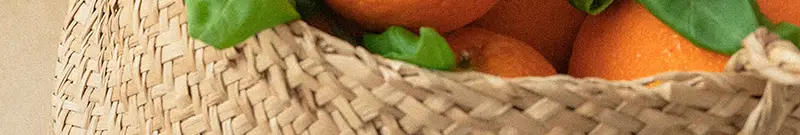 [투고컵 증정]오다다 이너케어 티 집념관리세트 6SET 상세페이지 63